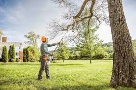 Best Hedge Trimming  in Glen Allen, VA