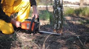 Best Aeration Services  in Glen Allen, VA