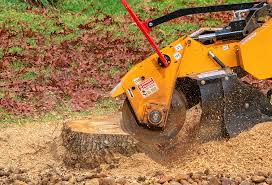 Best Tree Maintenance Programs  in Glen Allen, VA