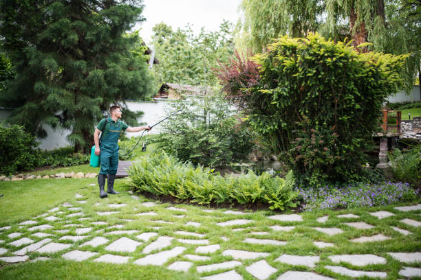 Best Soil Testing and Treatment  in Glen Allen, VA